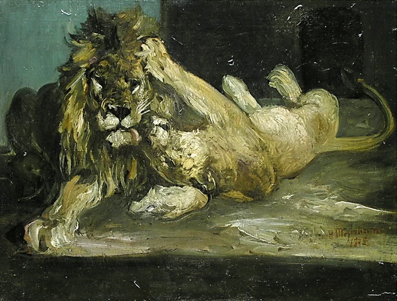 La tenera coppia di leoni